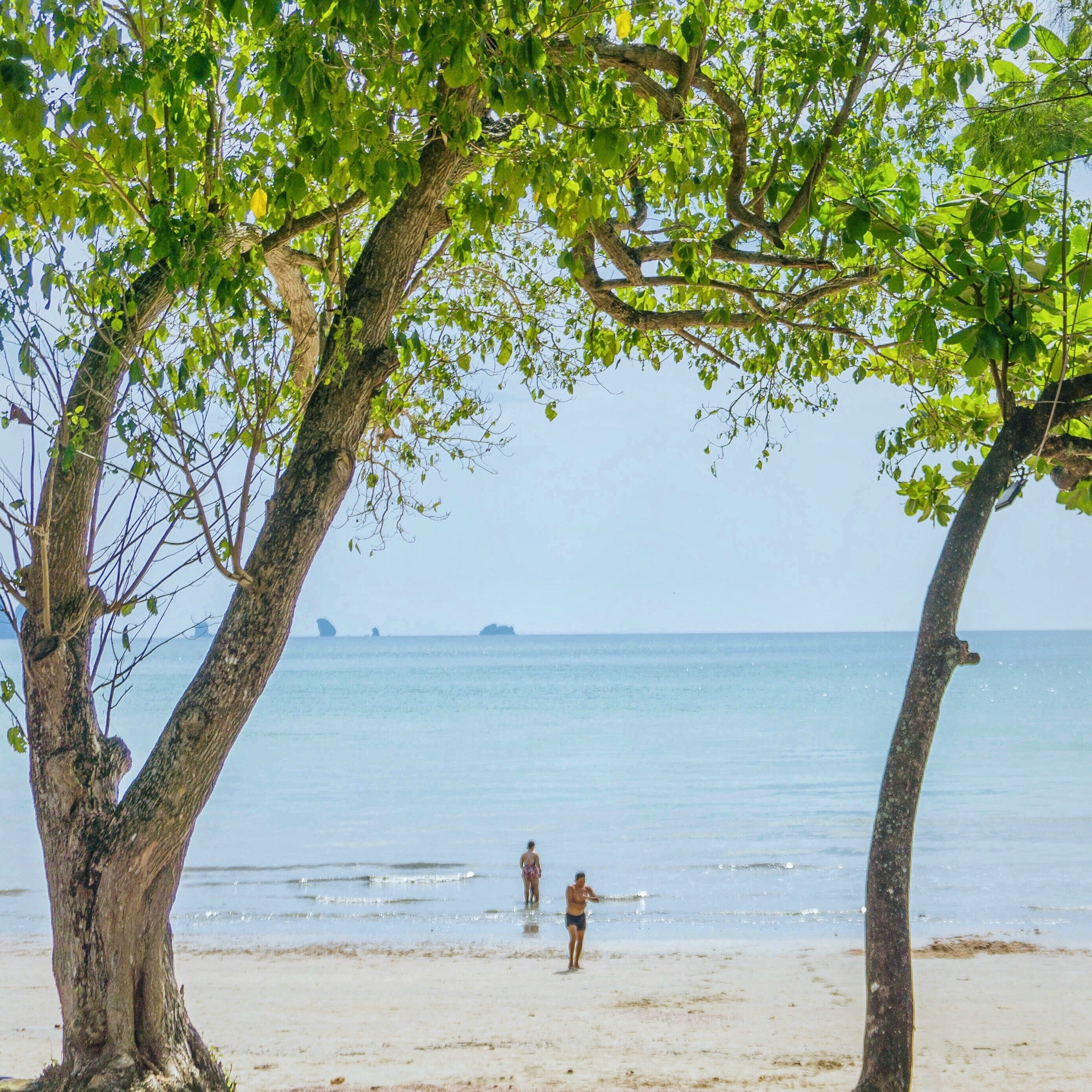 Must visit in Krabi